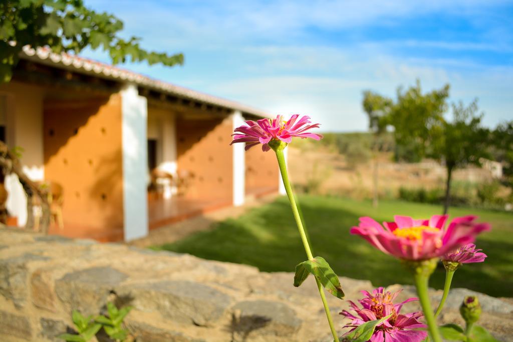 Melrinitas - Turismo Rural Serpa Exterior foto